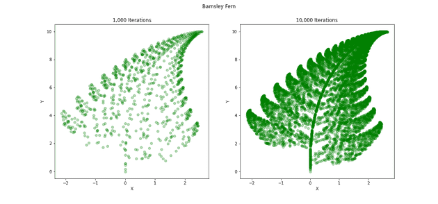 Barnsley Fern